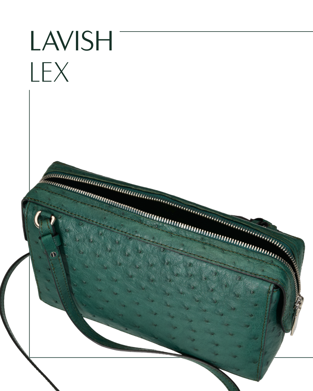 New Releases: Lavish Lex