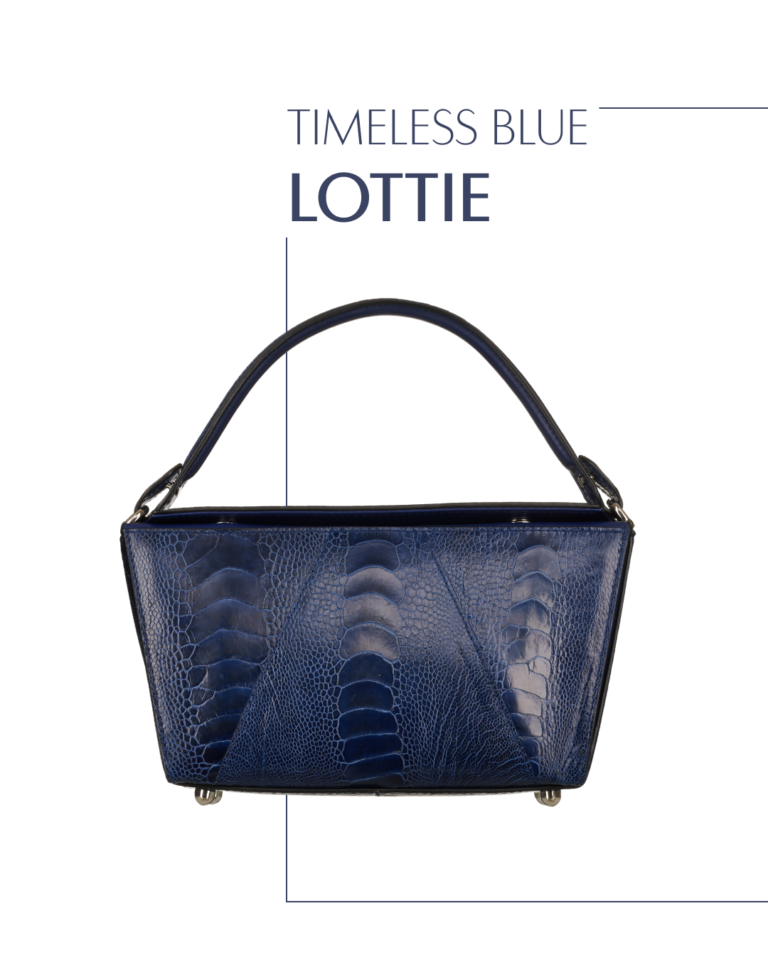 New Releases: Timeless Blue Lottie 💙