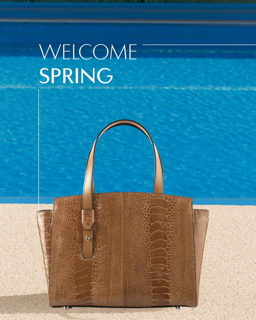 🌸 Hello Spring, Hello Elegance! 🌸