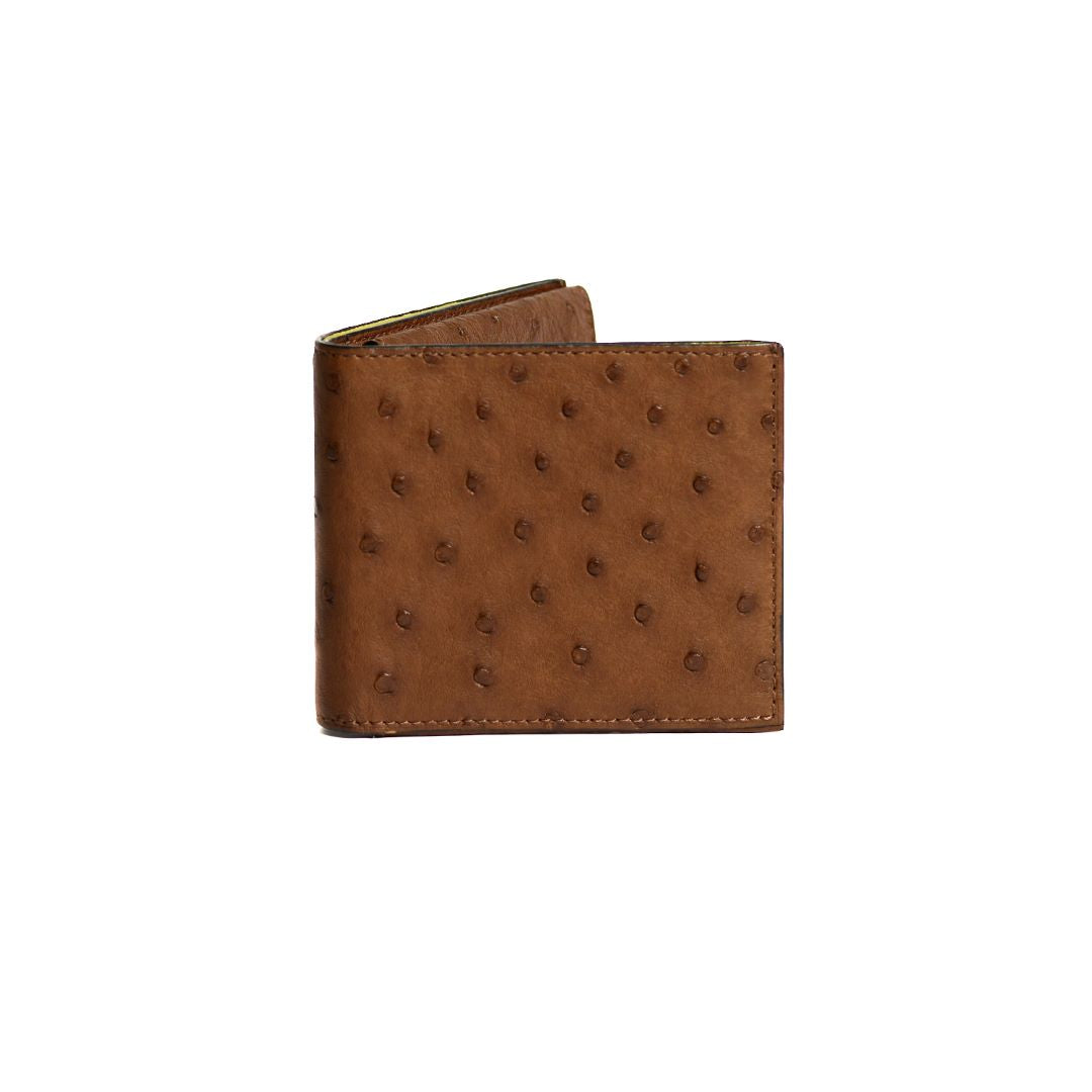 Brown Boston Ostrich Leather Card Holder