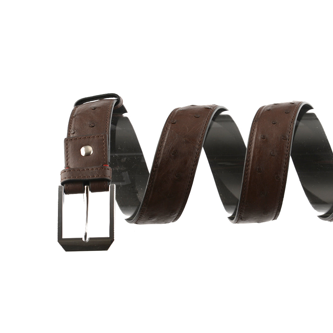 Dark Brown Mens 38mm Ostrich Quill Leather Belt