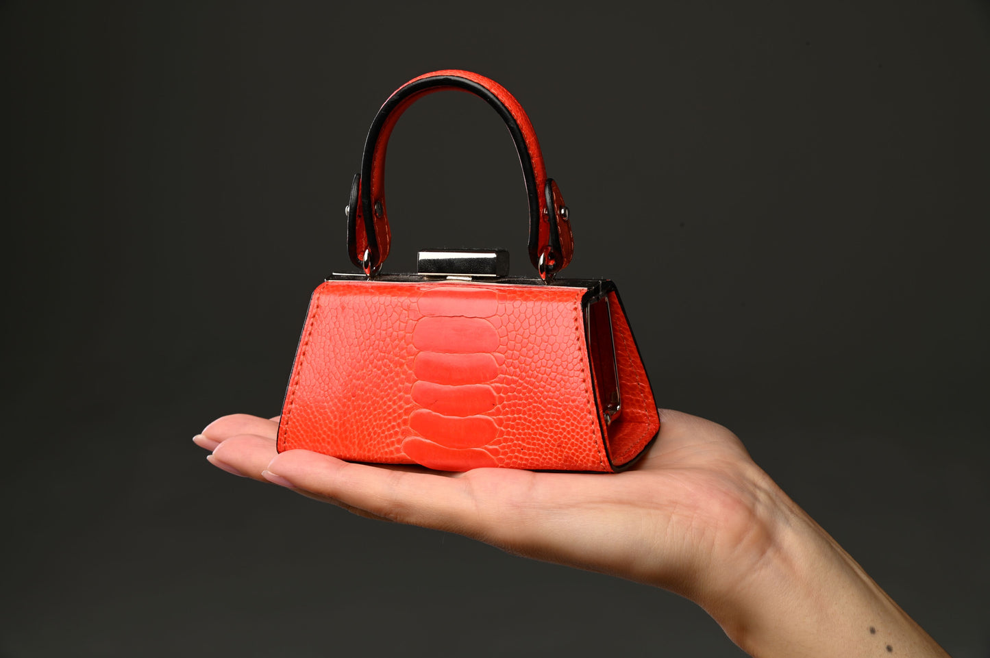 Black Nevada Ostrich Leather Micro Bag
