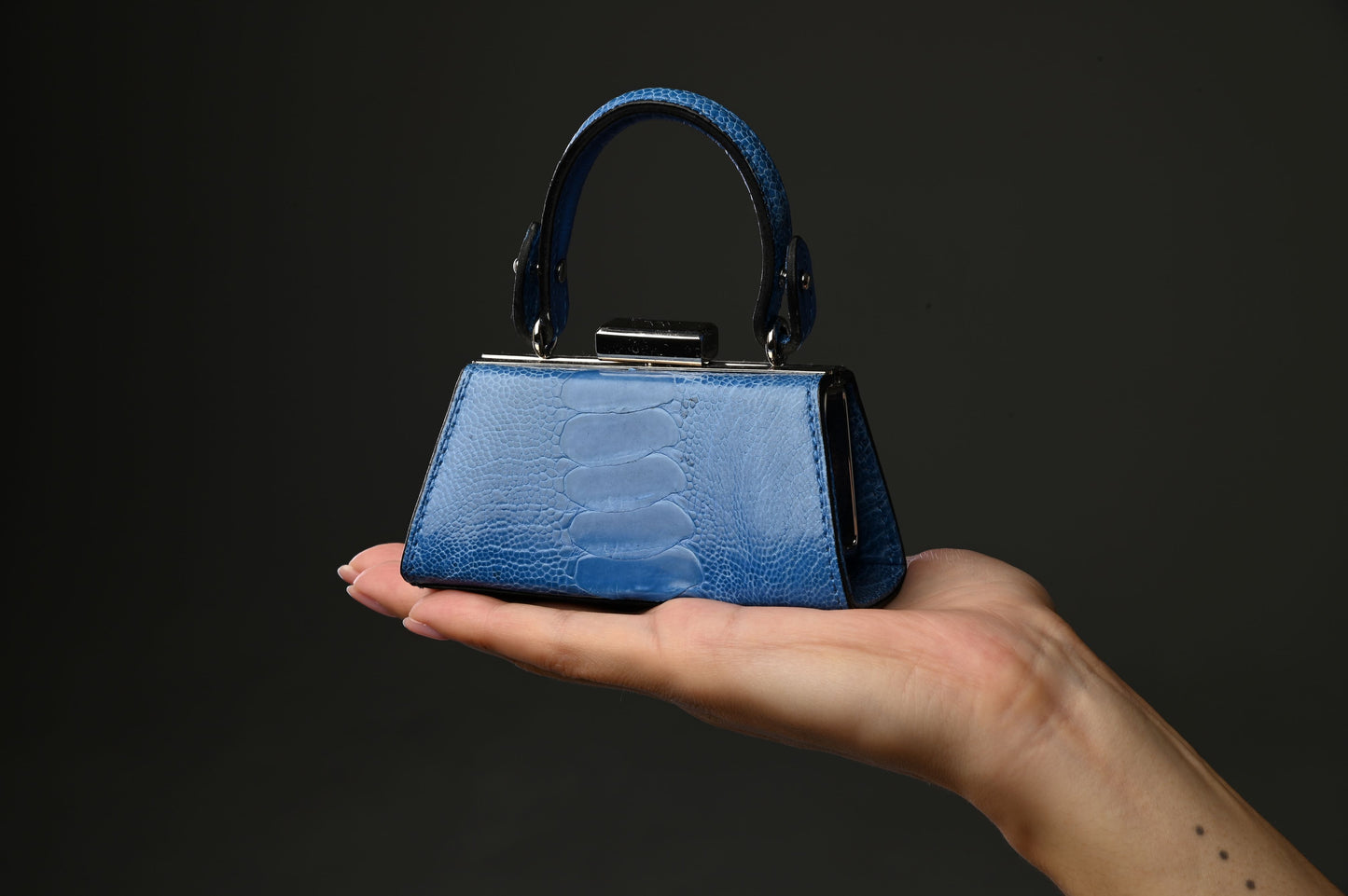 Black Nevada Ostrich Leather Micro Bag