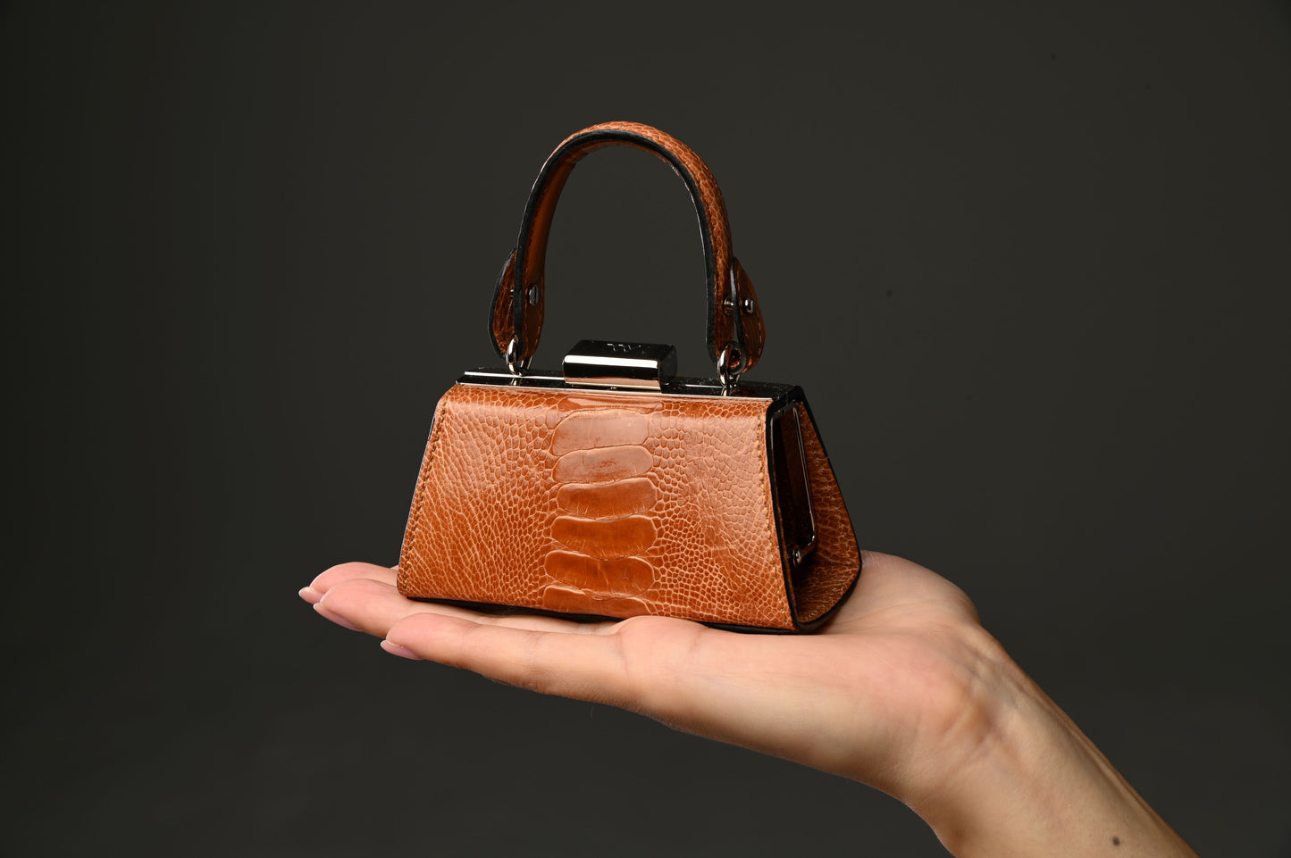 Black Nevada Ostrich Leather Micro Bag
