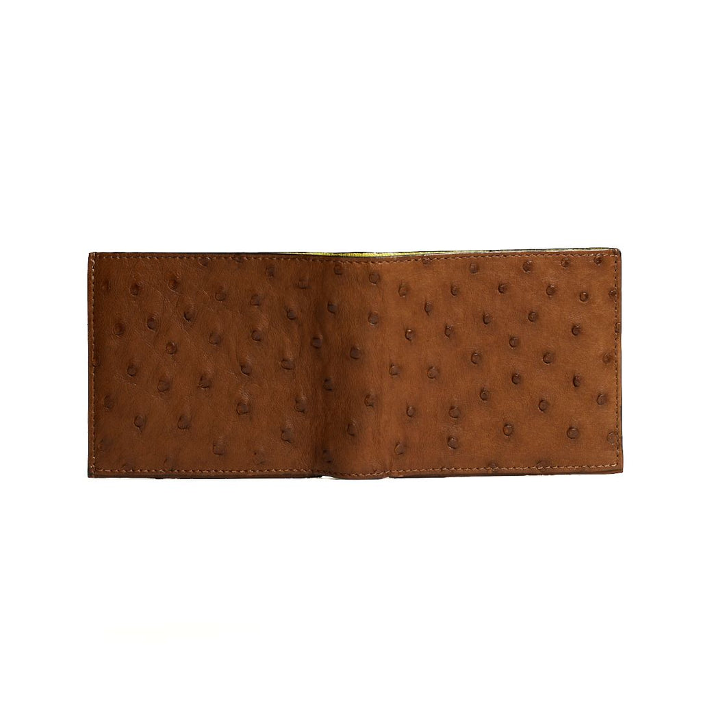 Boston — Brown African Full-Quill Ostrich Leather Card Holder