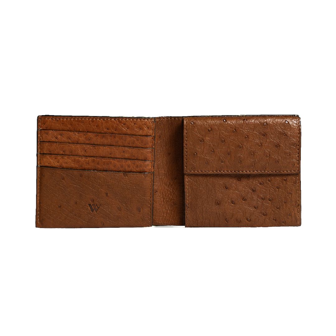 Boston — Brown African Full-Quill Ostrich Leather Card Holder