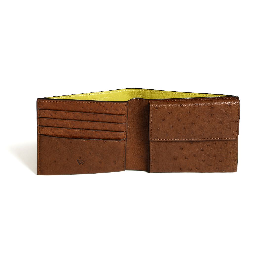 Boston — Brown African Full-Quill Ostrich Leather Card Holder