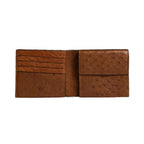 Boston — Brown African Full-Quill Ostrich Leather Card Holder